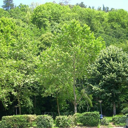 Apartamento En Contranquil Διαμέρισμα Onís Εξωτερικό φωτογραφία